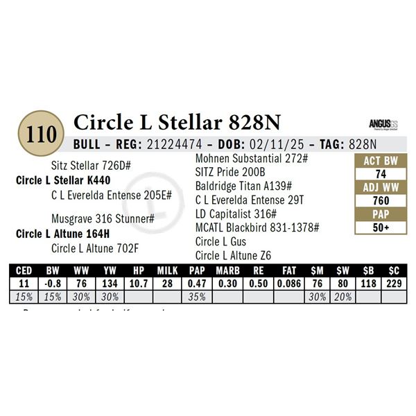 Circle L Stellar 828N