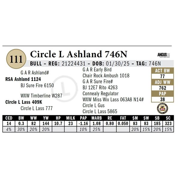 Circle L Ashland 746N