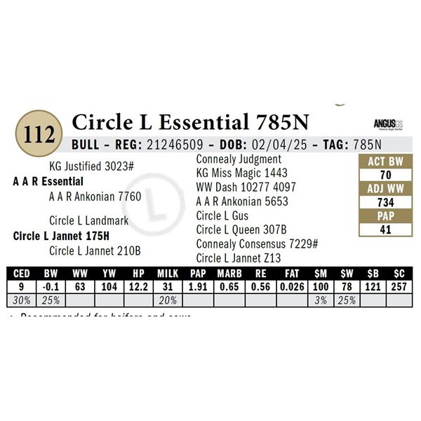 Circle L Essential 785N