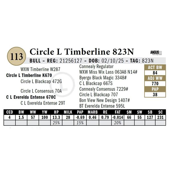 Circle L Timberline 823N