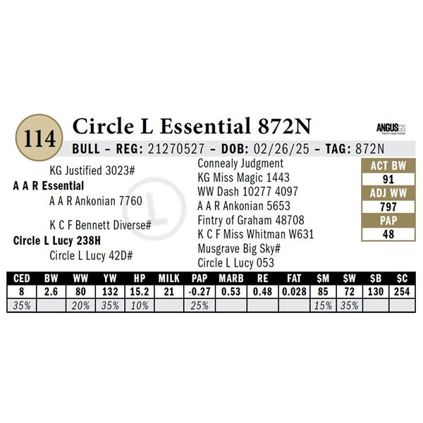 Circle L Essential 872N