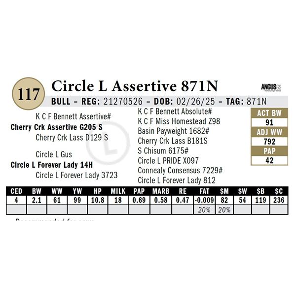 Circle L Assertive 871N