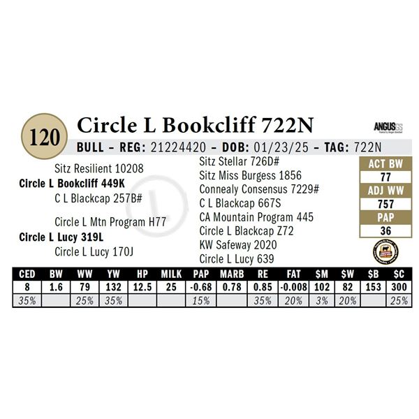 Circle L Bookcliff 722N