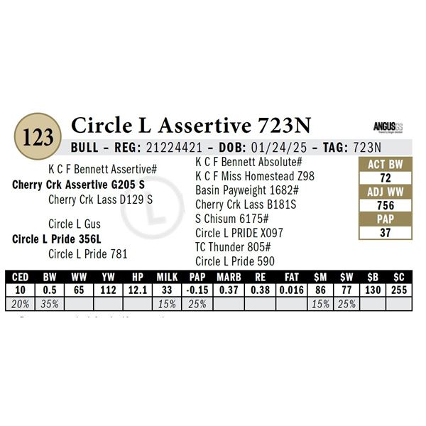 Circle L Assertive 723N