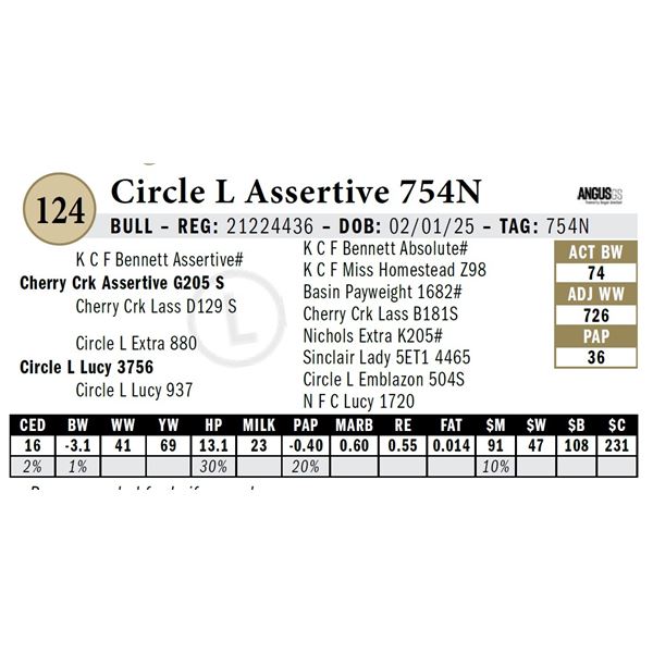 Circle L Assertive 754N