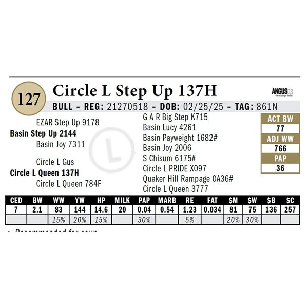 Circle L Step Up 137H