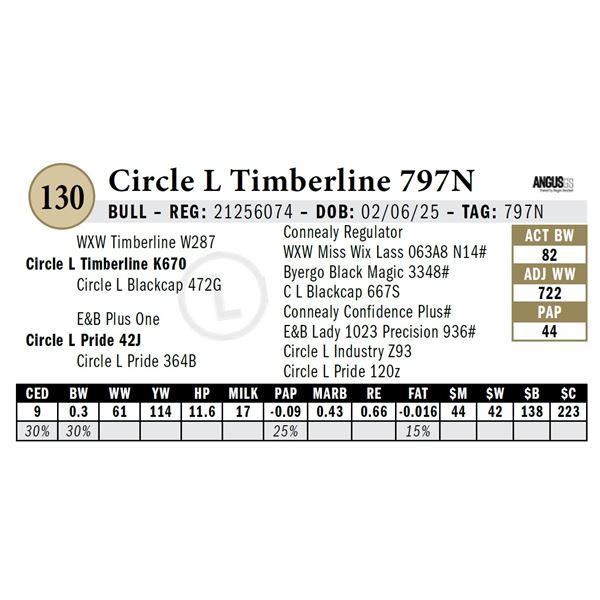 Circle L Timberline 797N