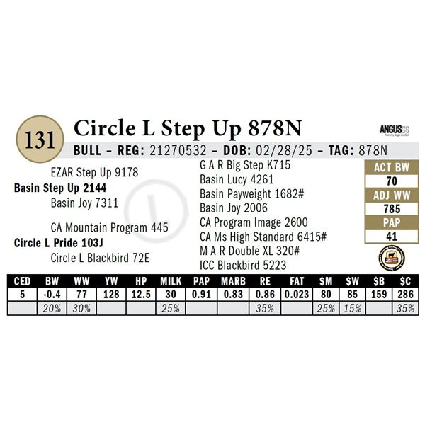Circle L Step Up 878N