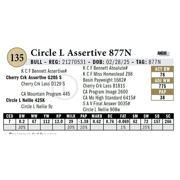 Circle L Assertive 877N