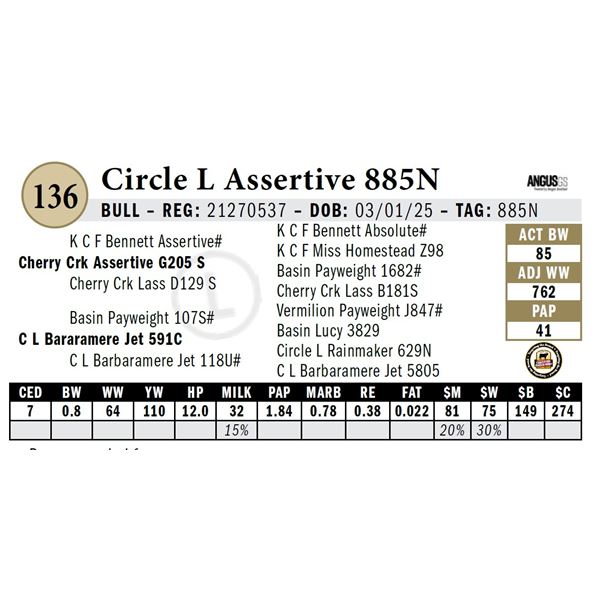 Circle L Assertive 885N