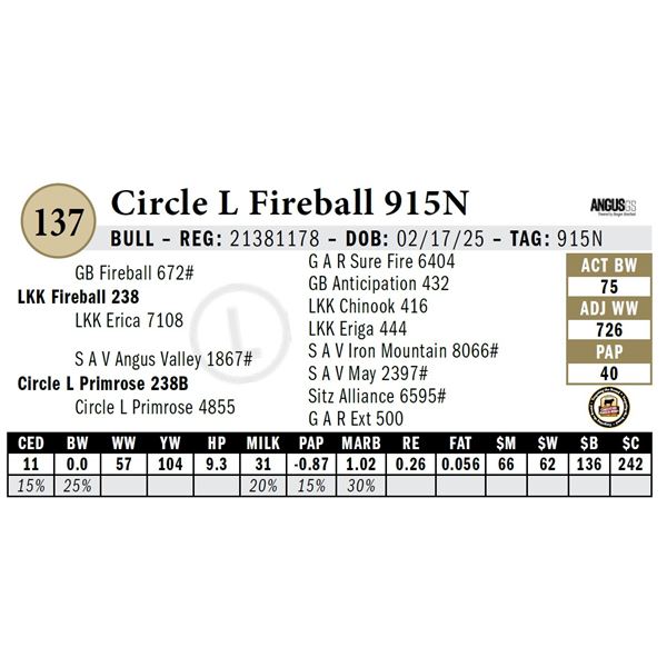 Circle L Fireball 915N