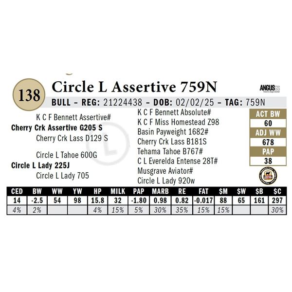 Circle L Assertive 759N
