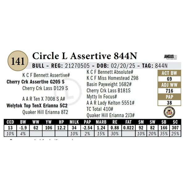 Circle L Assertive 844N