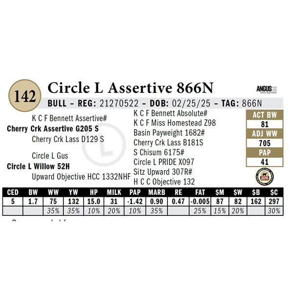 Circle L Assertive 866N