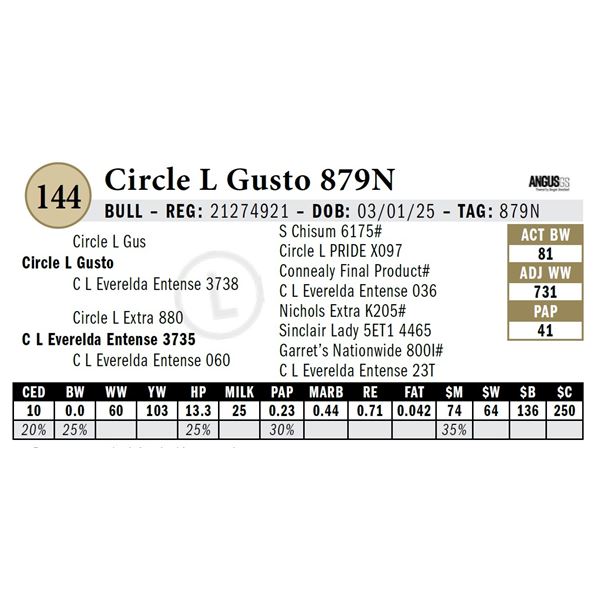 Circle L Gusto 879N