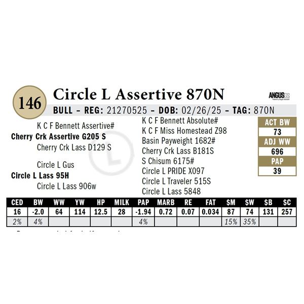 Circle L Assertive 870N