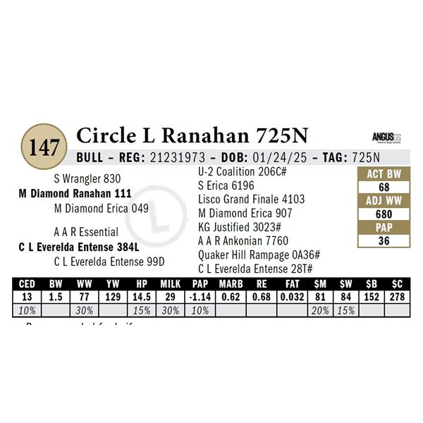 Circle L Ranahan 725N