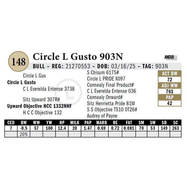 Circle L Gusto 903N