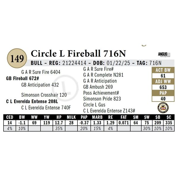 Circle L Fireball 716N