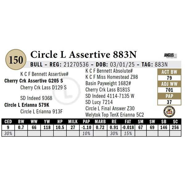 Circle L Assertive 883N