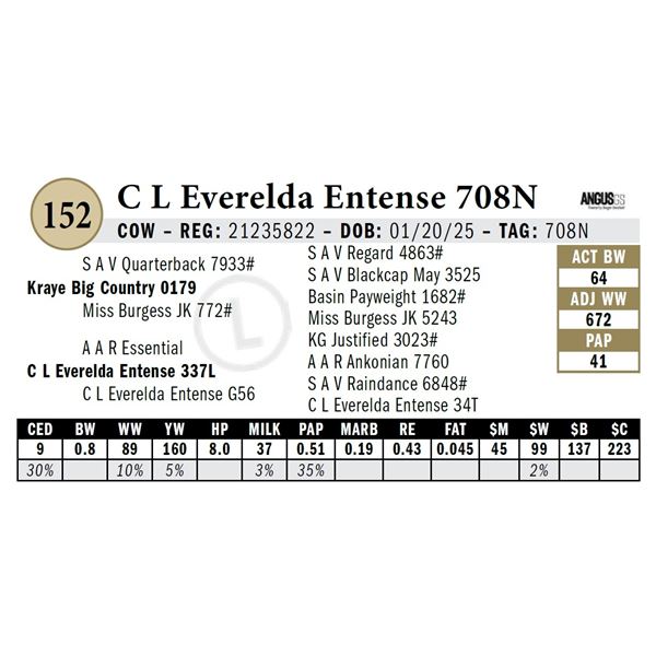 C L Everelda Entense 708N