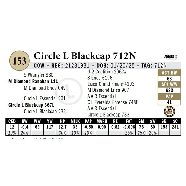 Circle L Blackcap 712N