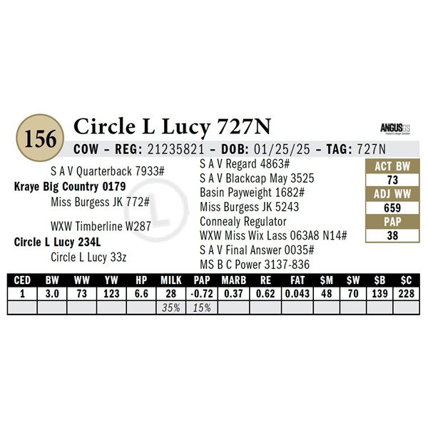 Circle L Lucy 727N