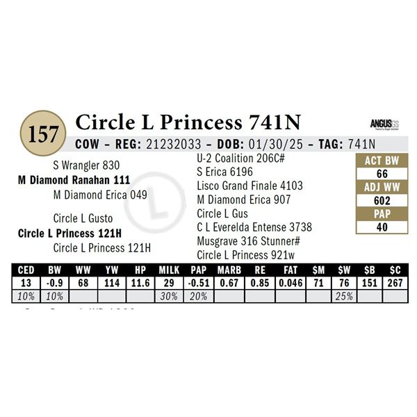 Circle L Princess 741N