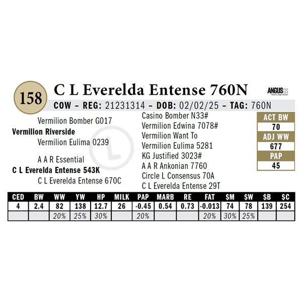 C L Everelda Entense 760N