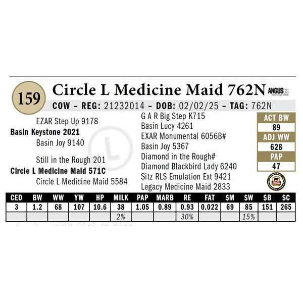 Circle L Medicine Maid 762N