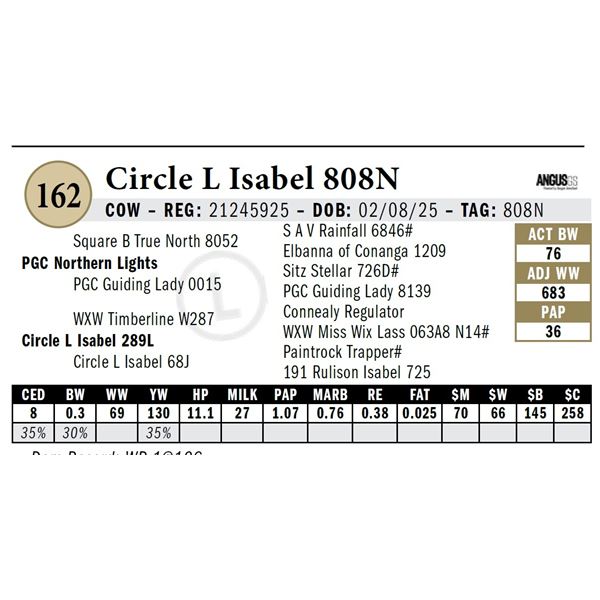 Circle L Isabel 808N
