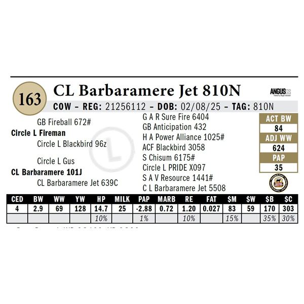 CL Barbaramere Jet 810N