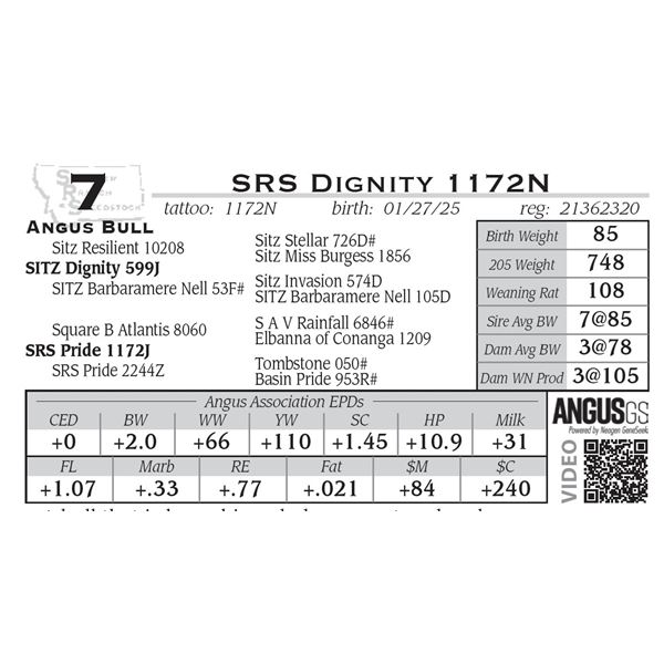 SRS Dignity 1172N