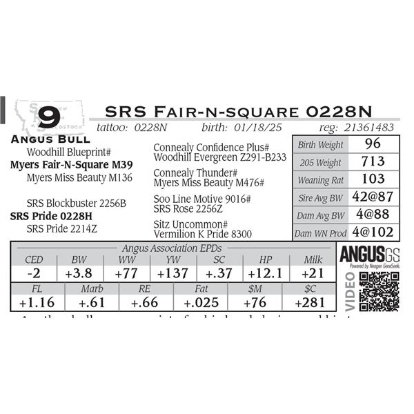 SRS Fair-n-square 0228N