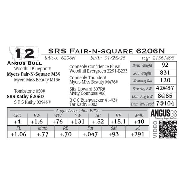 SRS Fair-n-square 6206N