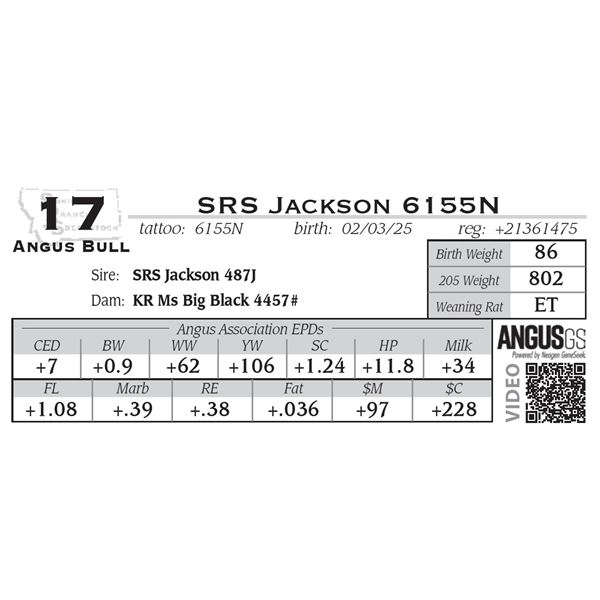 SRS Jackson 6155N