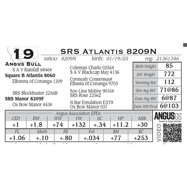 SRS Atlantis 8209N