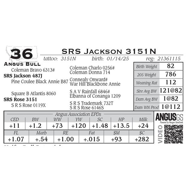 SRS Jackson 3151N