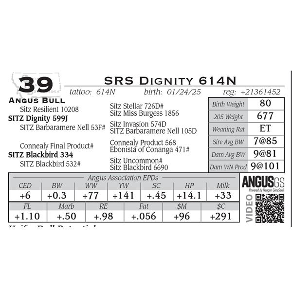 SRS Dignity 614N