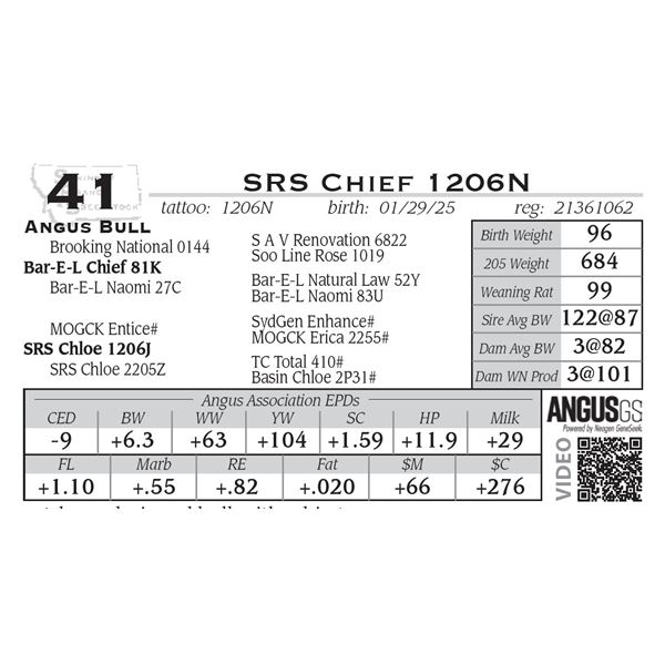 SRS Chief 1206N
