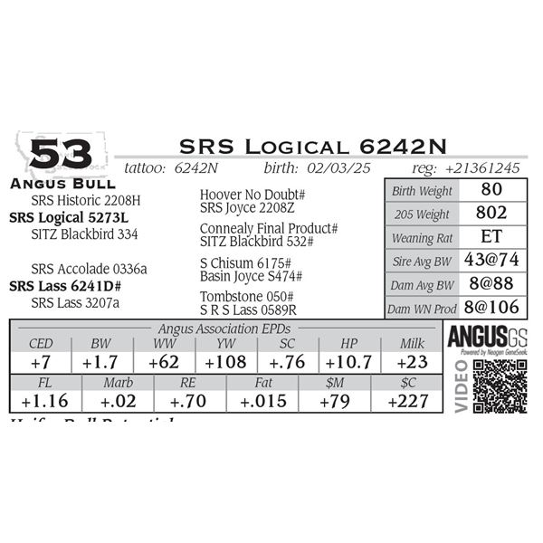 SRS Logical 6242N