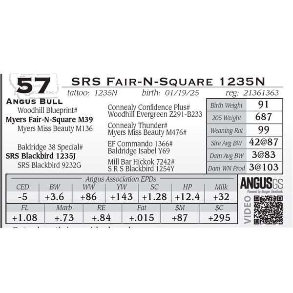 SRS Fair-N-Square 1235N