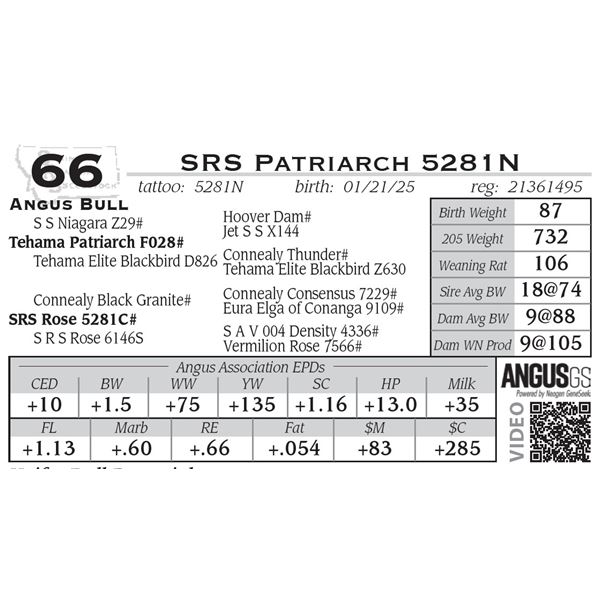 SRS Patriarch 5281N