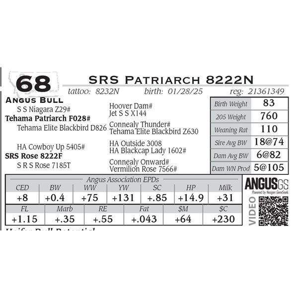 SRS Patriarch 8222N