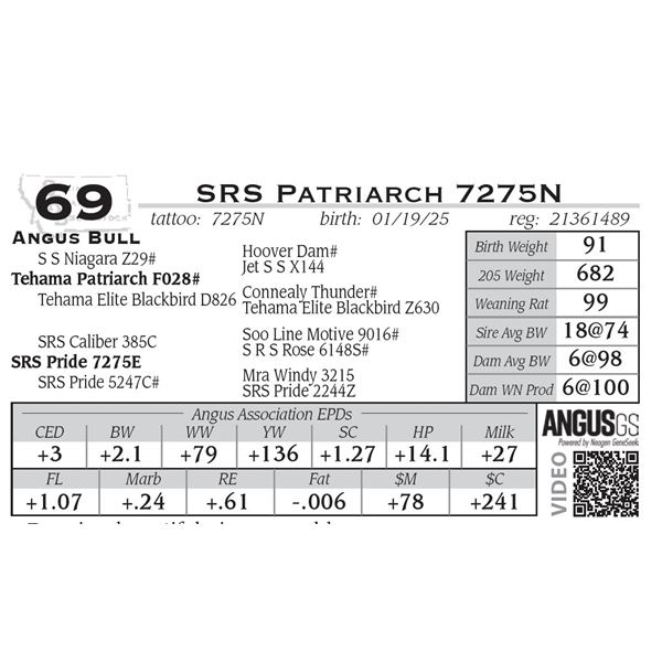SRS Patriarch 7275N