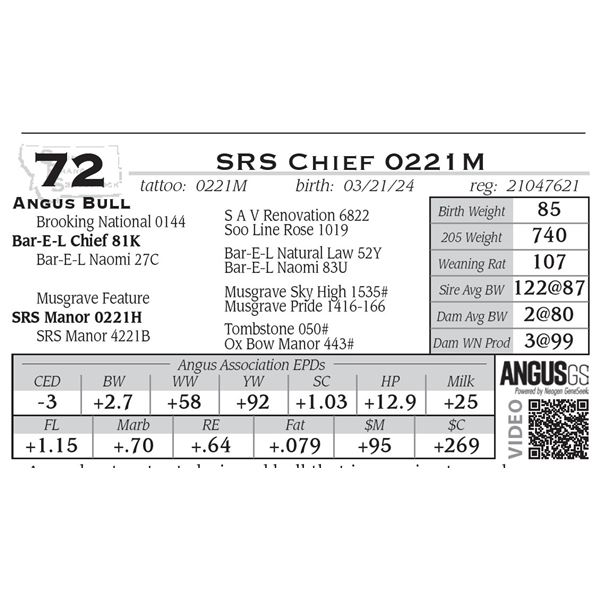 SRS Chief 0221M