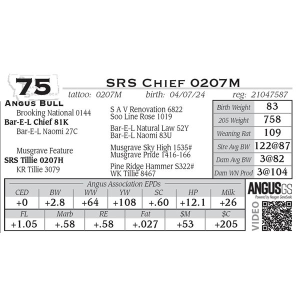SRS Chief 0207M