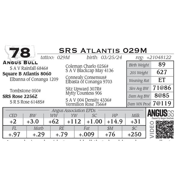 SRS Atlantis 029M