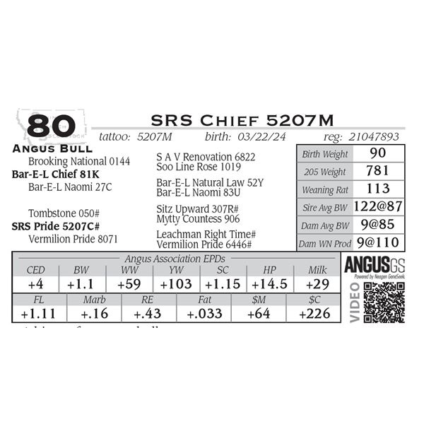 SRS Chief 5207M