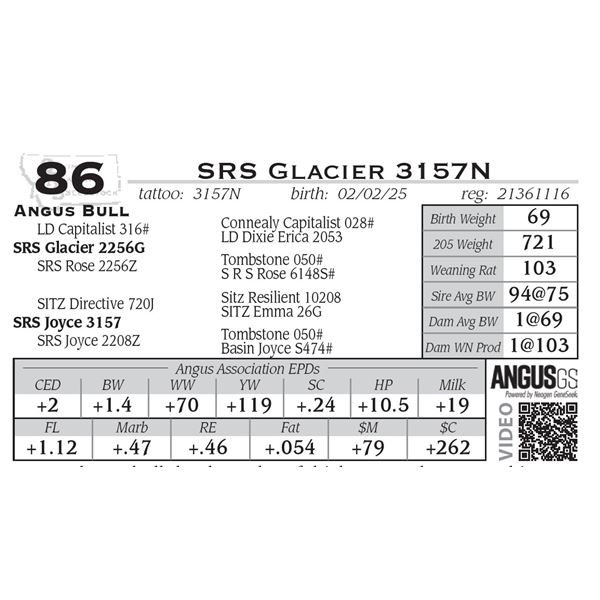 SRS Glacier 3157N